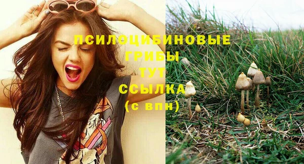 ПСИЛОЦИБИНОВЫЕ ГРИБЫ Володарск