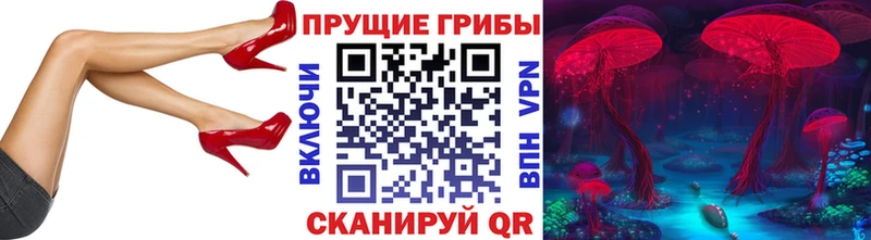 Купить  Ковдор  Галлюциногенные грибы Magic Shrooms 