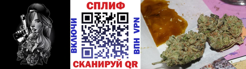 Купить Ковдор Каннабис семена